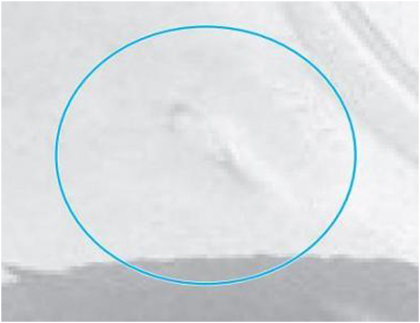 1602913809707669.png 圖片.png